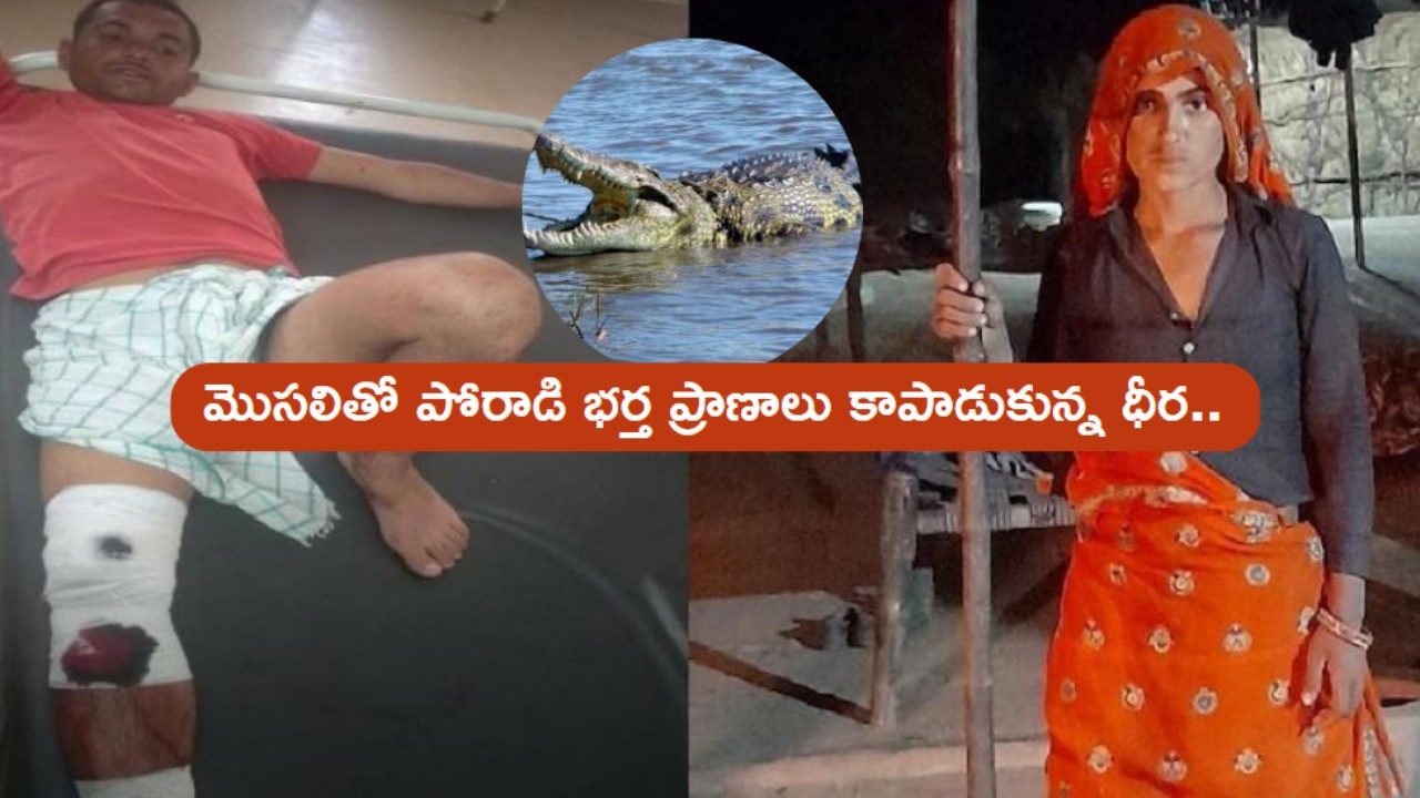 Rajasthan : మొసలితో పోరాడి భర్త ప్రాణాలు కాపాడుకున్న మహిళ .. హ్యాట్సాఫ్ అంటూ ప్రశంసలు