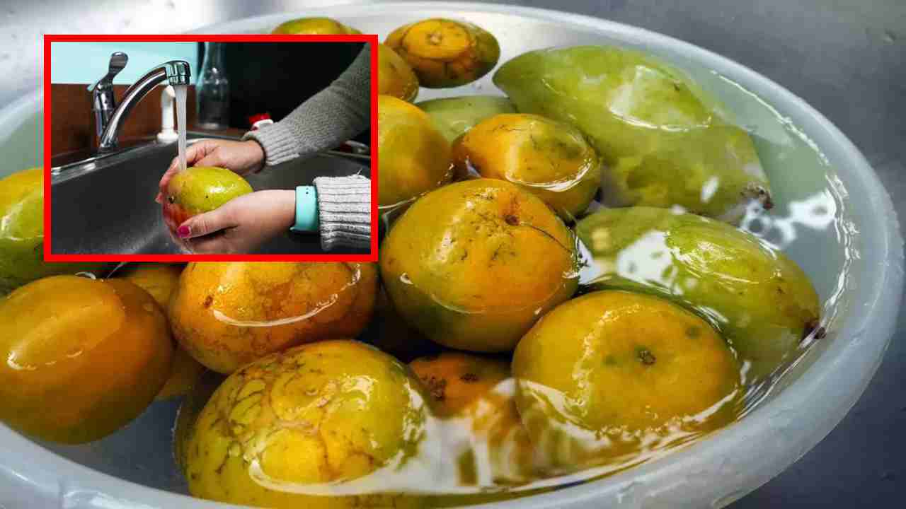 Soak Mango : మామిడికాయను తినే ముందు నీటిలో నానబెట్టడం అవసరమా? దాని వల్ల ఎలాంటి ఆరోగ్య ప్రయోజనాలు కలుగుతాయంటే ?