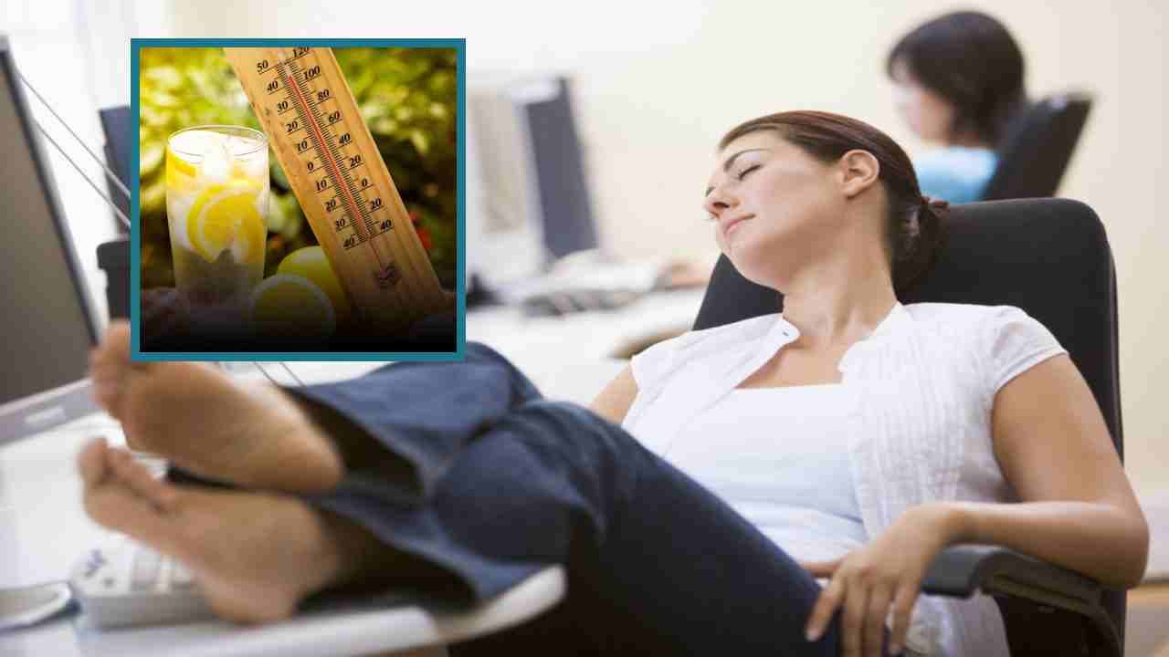 Summer Heat : వేసవి వేడి కారణంగా పనిలో అలసిపోయారా? తక్షణమే శక్తిని పెంచుకోవడానికి చిట్కాలు !