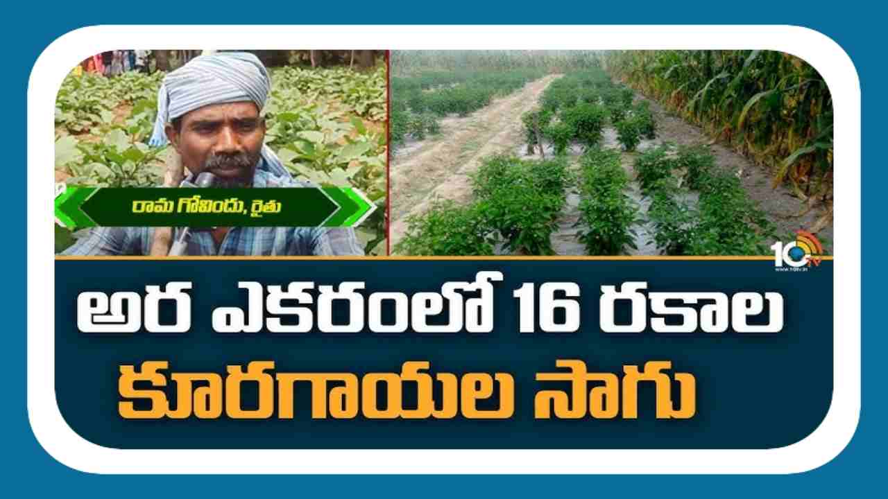 vegetables Cultivation : అర ఎకరంలో 16 రకాల కూరగాయల సాగు.. ఏడాదికి రూ.1 లక్షా 50 వేల ఆదాయం