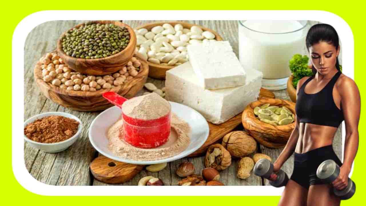 Vegetarian Protein : కండరాల నిర్మాణానికి దోహదపడే శాఖాహార ప్రొటీన్ !