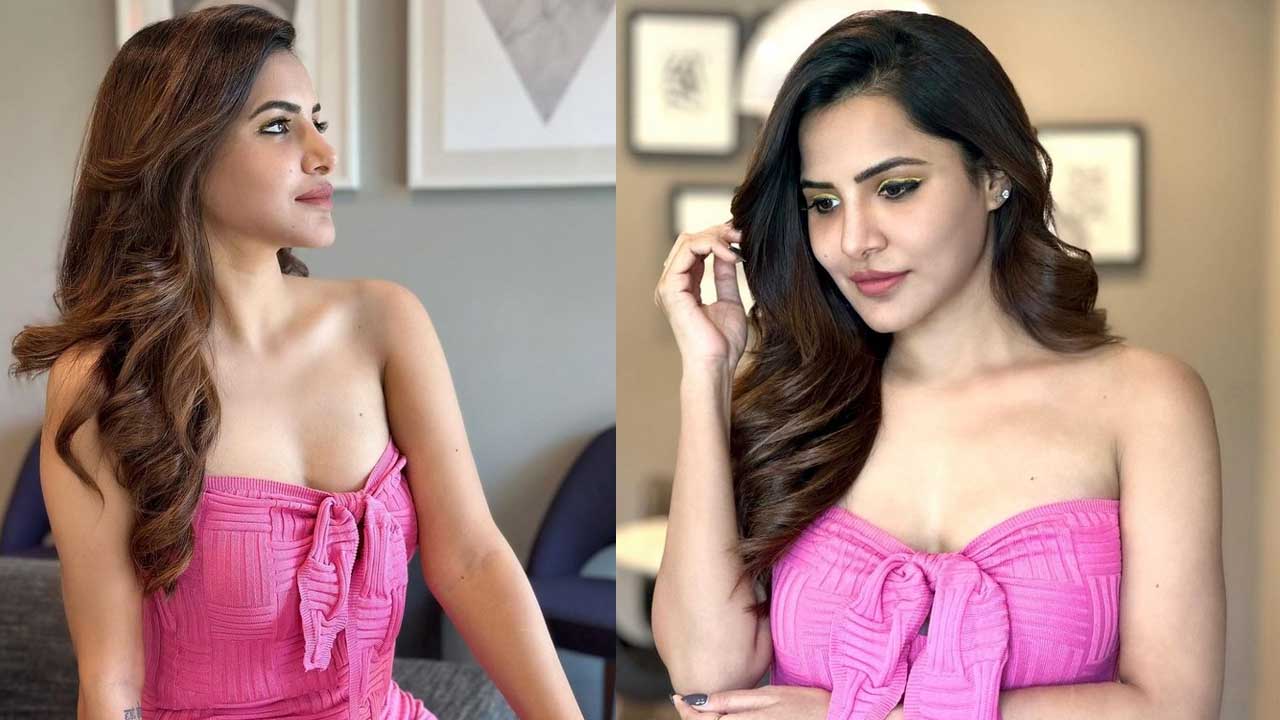 Ashu Reddy: గులాబీ డ్రెస్సు సోయగాలతో గులామ్ చేస్తోన్న అషు రెడ్డి