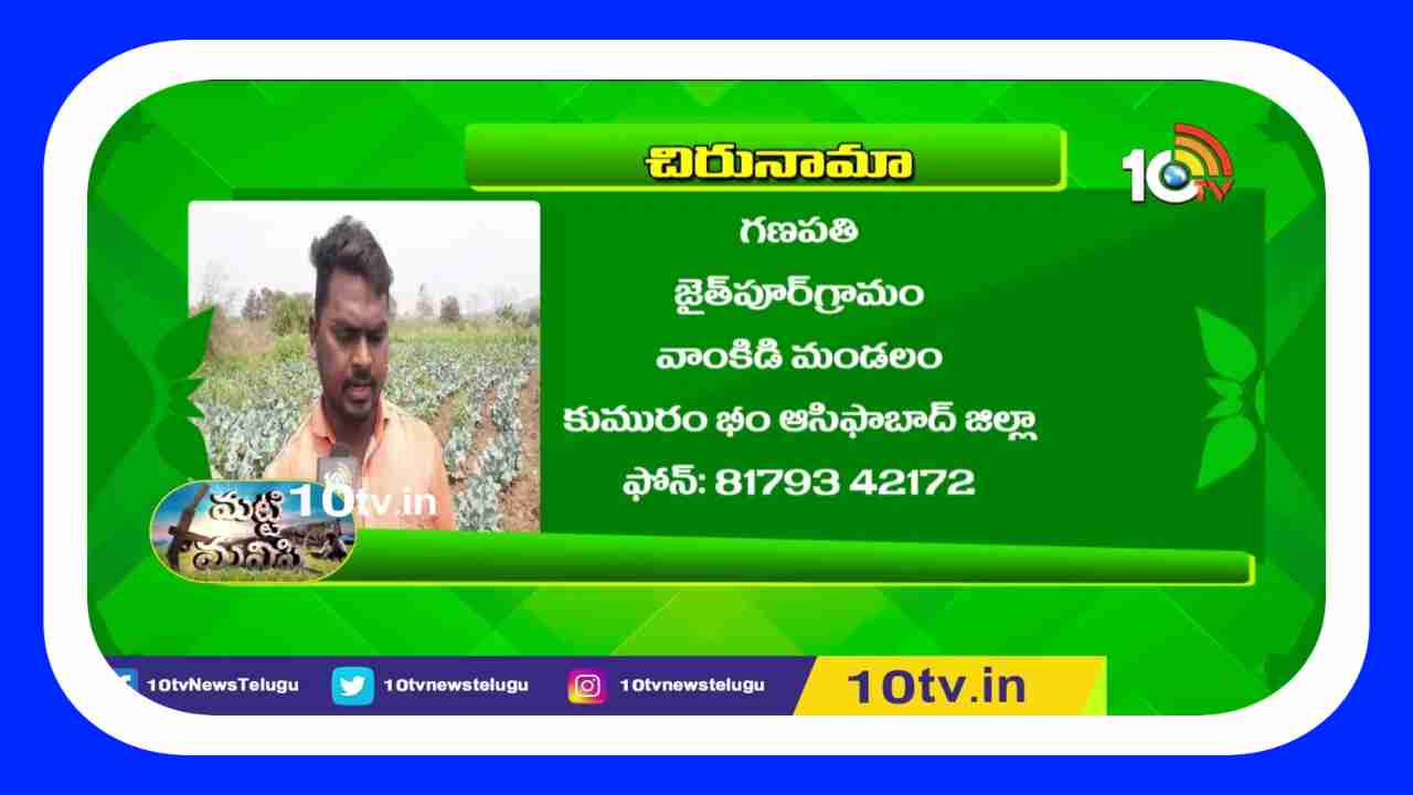 Cauliflower Farming : కాలీఫ్లవర్ సాగుతో.. అధిక లాభాలు ఆర్జిస్తున్న రైతు