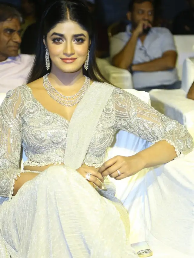 Dimple Hayahi Shines in Saree at Ramabanam Pre Release Event