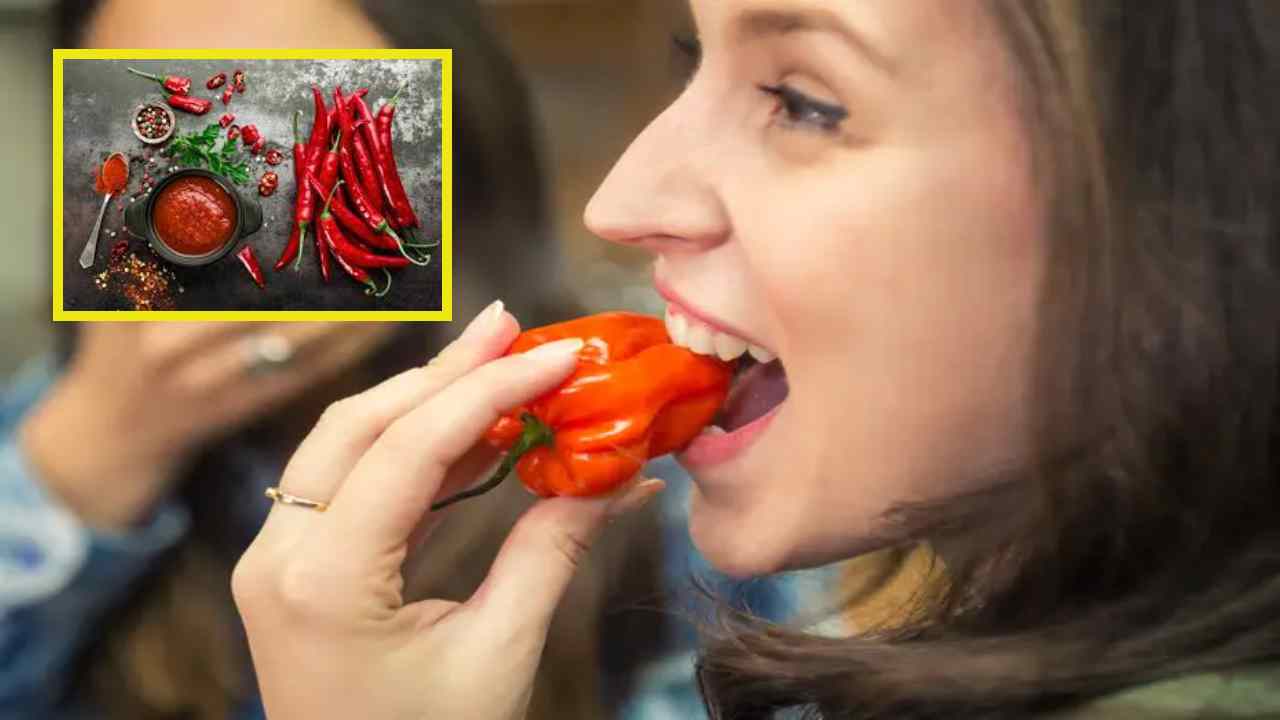 Spicy Food : స్పైసీ ఫుడ్ అంటే ఇష్టమా? ఇది జీర్ణక్రియను ఎలా ప్రభావితం చేస్తుందో తెలుసా ?