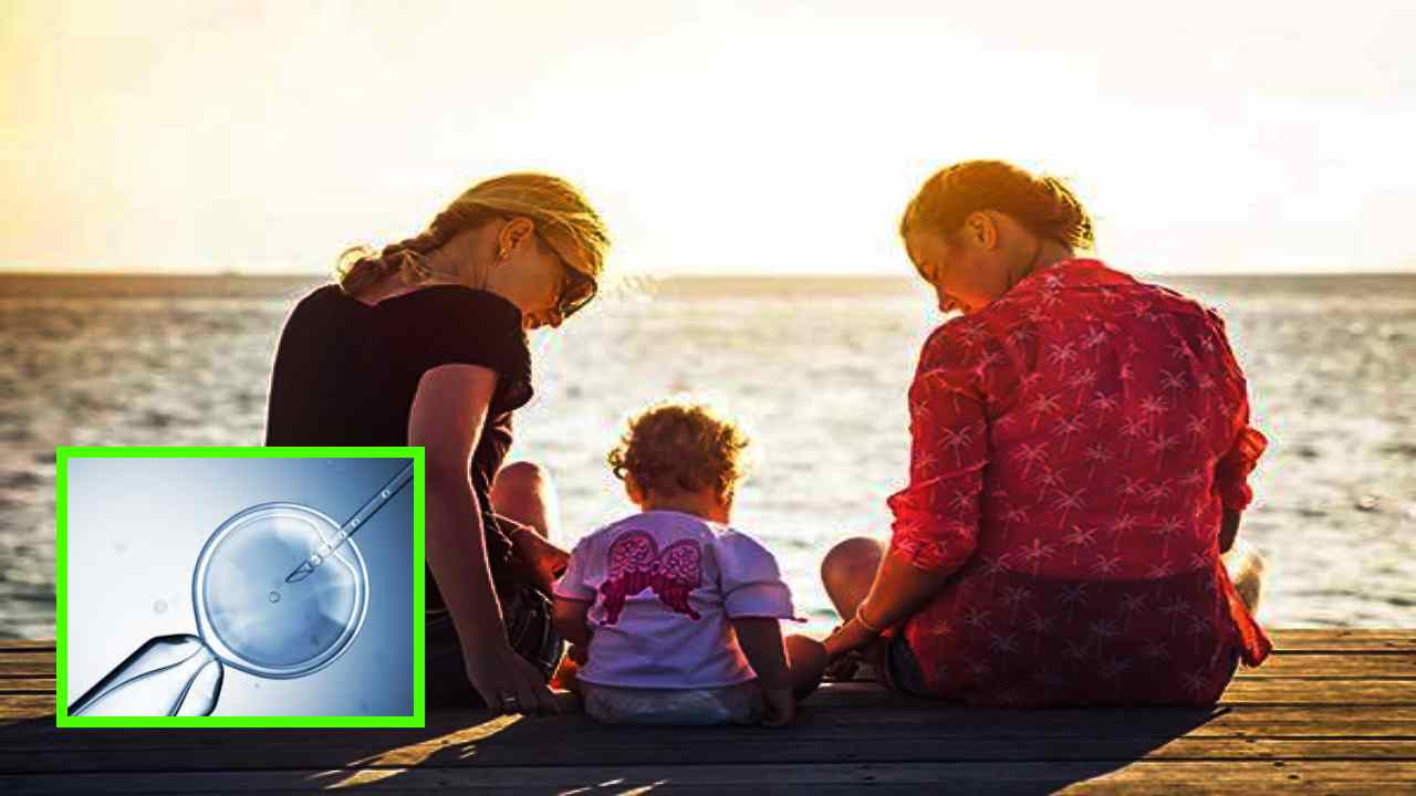 In Vitro Fertilization : IVF అంటే ఏమిటి? ఏ పరిస్ధితుల్లో ఇది అవసరమౌతుంది ?