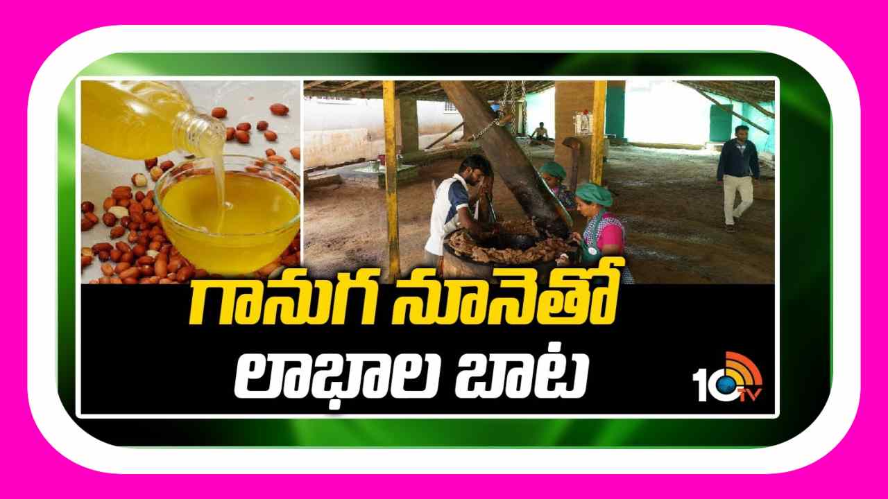 Ganuga Oil : గానుగ నూనెతో లాభాల బాట..