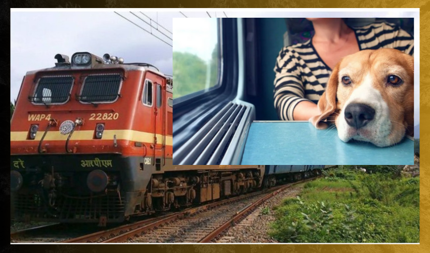 IRCTC : ఇక జంతువులకు ఆన్‌లైన్‌లో రైలు టిక్కెట్లు బుకింగ్