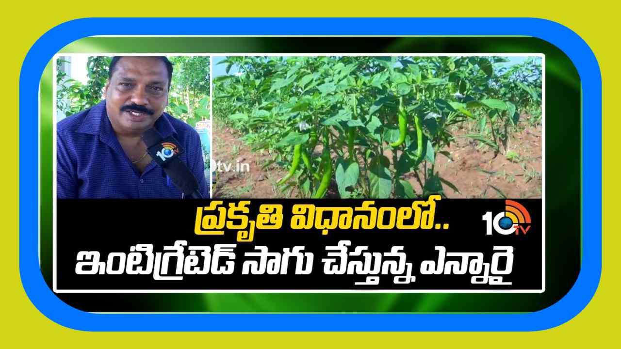 Integrated Cultivation : ప్రకృతి విధానంలో.. ఇంటిగ్రేటెడ్ సాగు చేస్తున్న ఎన్నారై