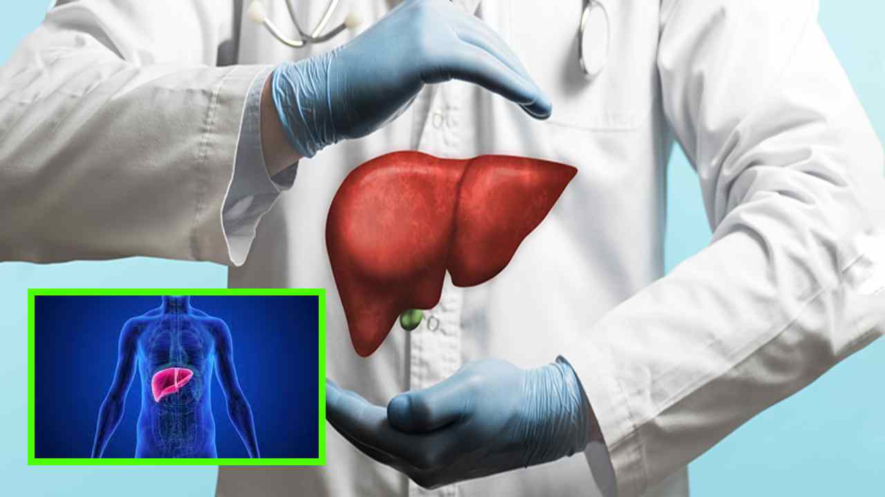Liver Health : కాలేయ ఆరోగ్యానికి దోహదపడే ఆహార చిట్కాలు, జీవనశైలి మార్పులు !