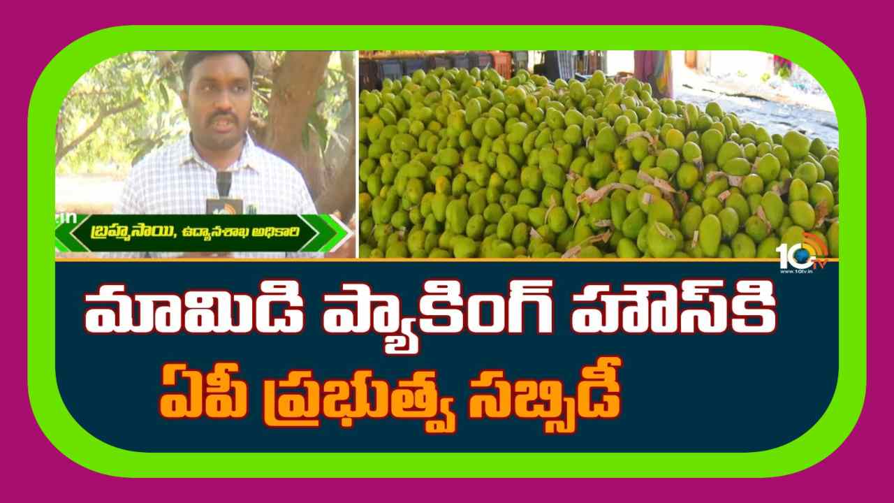 Mango Packing House : మామిడి ప్యాకింగ్ హౌస్ కి ఏపి ప్రభుత్వ సబ్సిడీ