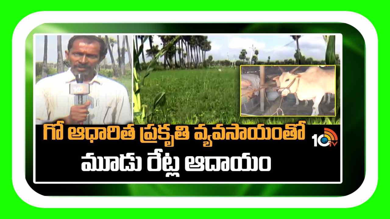 Natural Farming : గో ఆధారిత ప్రకృతి వ్యవసాయంతో.. మూడు రెట్ల ఆదాయం పొందుతున్న రైతు
