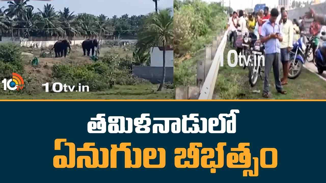 Elephants: బీభత్సం సృష్టిస్తోన్న ఏనుగులను కుప్పం అటవీ ప్రాంతం వైపునకు తరలిస్తున్న అధికారులు.. అప్రమత్తంగా ఉండాలని సూచన