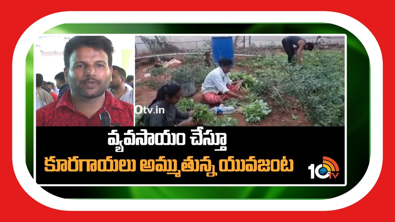 Organic Vegetable Farming : వ్యవసాయం చేస్తూ.. రైతుబజార్లో కూరగాయల అమ్ముతున్న యువజంట