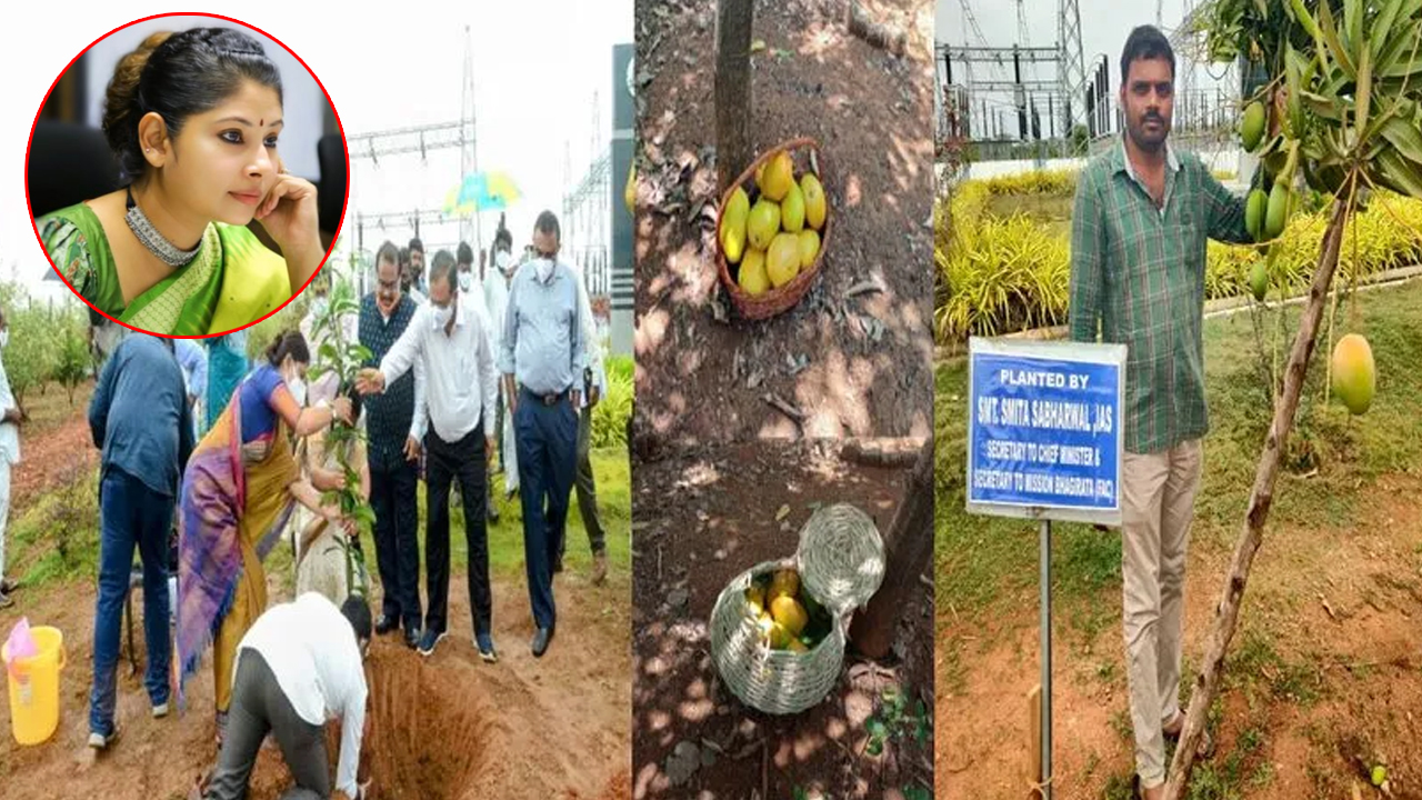 Smitha Sabharwal : స్మితా సబర్వాల్‌కు స్వీట్ సర్ ప్రైజ్.. ఆవిడ ఆనందం మామూలుగా లేదు