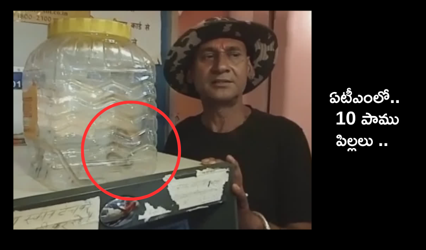 Snakes in ATM :  ఏటీఎంలోంచి నోట్లకు బదులు పాముపిల్లలు .. మిషన్‌లో పుట్ట పెట్టేసిందా ఏంటీ..!