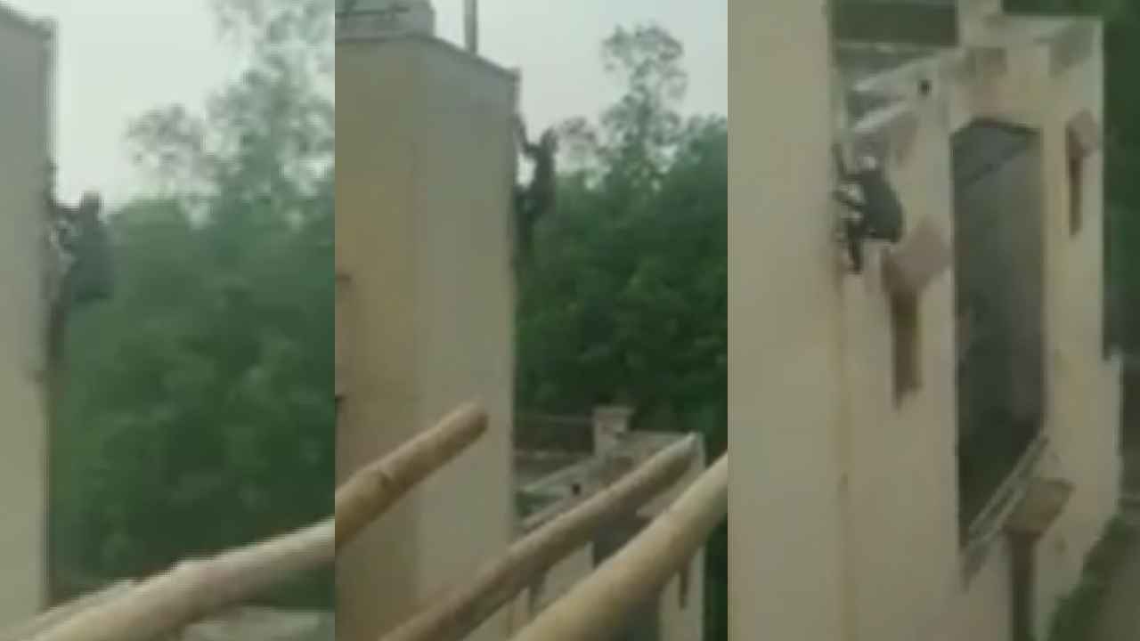 Spiderman Thief : ఓ మై గాడ్.. స్పైడర్ మ్యాన్‌లా నిమిషంలోపే నాలుగంతస్తుల బిల్డింగ్ ఎక్కేసిన దొంగ.. వీడియో వైరల్