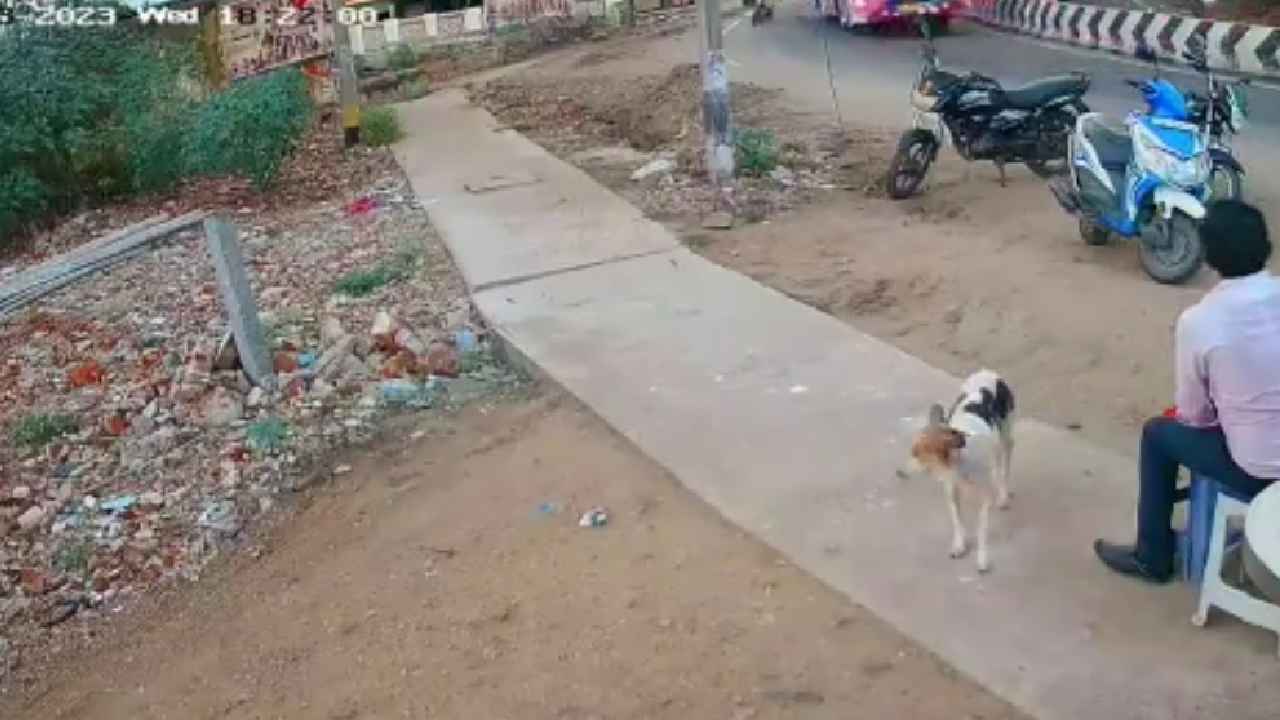 Viral Video : ఘోర ప్రమాదం.. బస్సులోంచి జారిపడ్డ యువతి, అక్కడికక్కడే మృతి.. ఒళ్లు గగుర్పొడిచే వీడియో