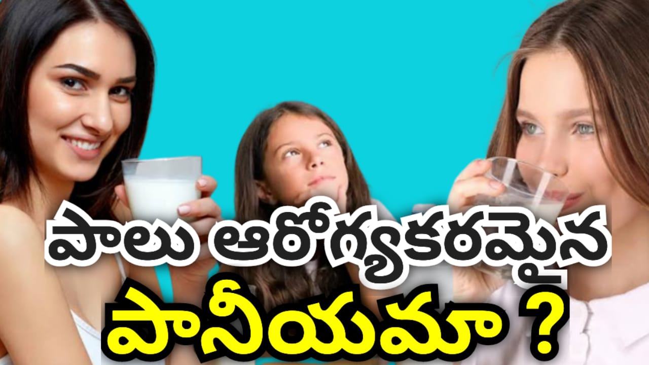 Health Benefits of Milk : పాలు అన్ని వయసుల వారికి ఒక అద్భుతమైన పానీయమా?