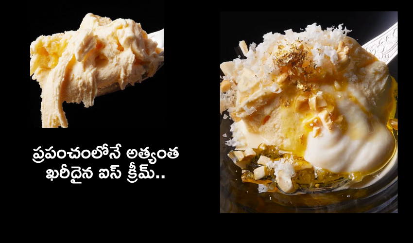 Most Expensive Icecream : ఐస్‌క్రీమ్ ధర అక్షరాల రూ. 5 లక్షలు..! గిన్నిస్ రికార్డు సాధించిన ఈ హిమక్రీము ప్రత్యేకతేంటో తెలుసా..?
