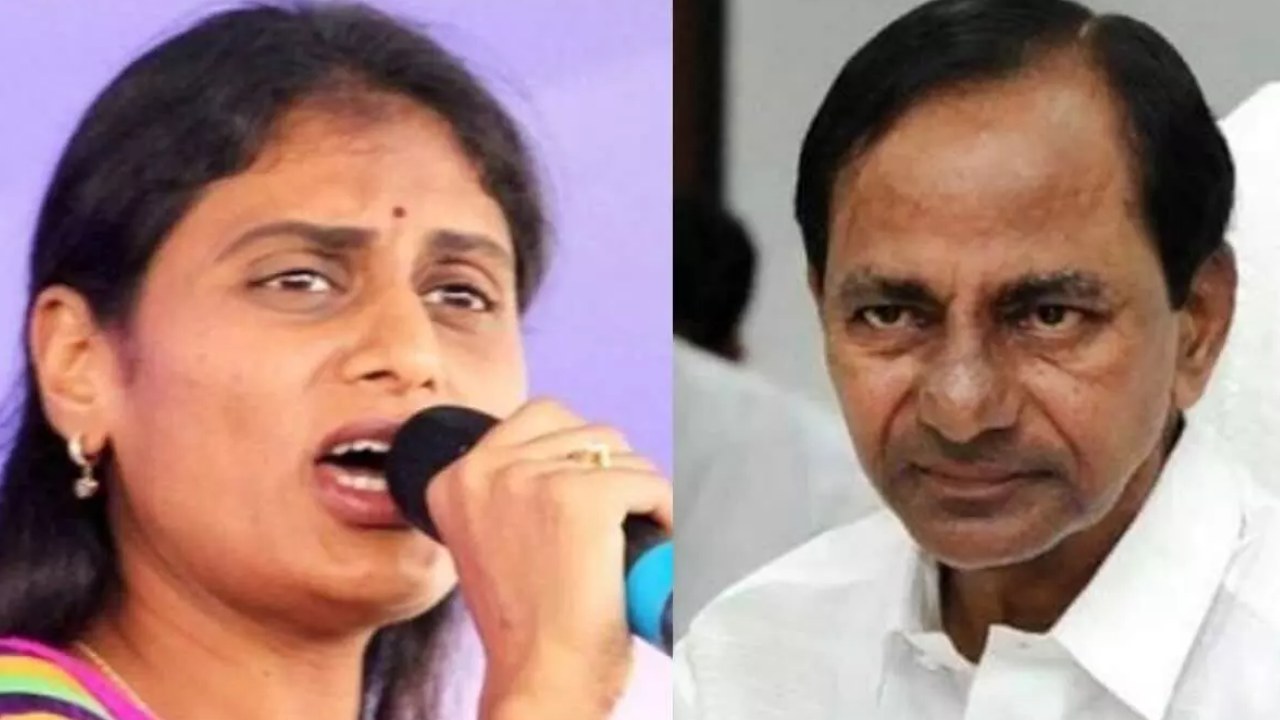YS Sharmila : ఎన్నికల వేళ కేసీఆర్ దొరకు బీసీలు గుర్తుకొచ్చారు : వైఎస్ షర్మిల