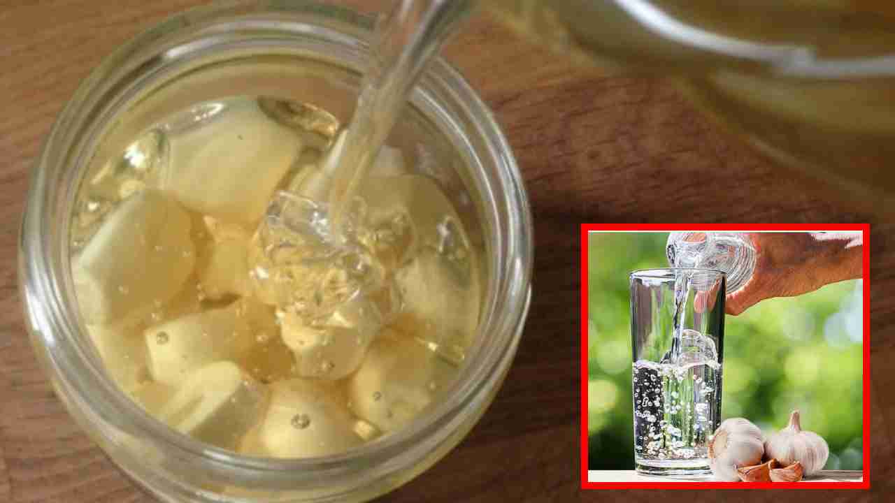 Garlic Water : ఖాళీ కడుపుతో వెల్లుల్లి నీరు త్రాగడం వల్ల కలిగే ప్రయోజనాలు?