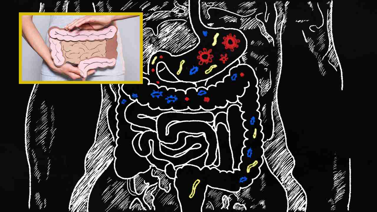Increase Intestinal Health : ప్రేగు ఆరోగ్యాన్ని పెంచడానికి దోహదపడే రోజువారీ అలవాట్లు !
