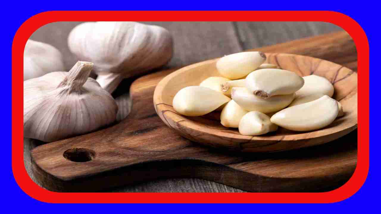 Benefits Of Garlic : క్యాన్సర్ నివారణకు, జీర్ణక్రియ ఆరోగ్యం మెరుగుపరచటంలో వెల్లుల్లి ఆరోగ్య ప్రయోజనాలు !