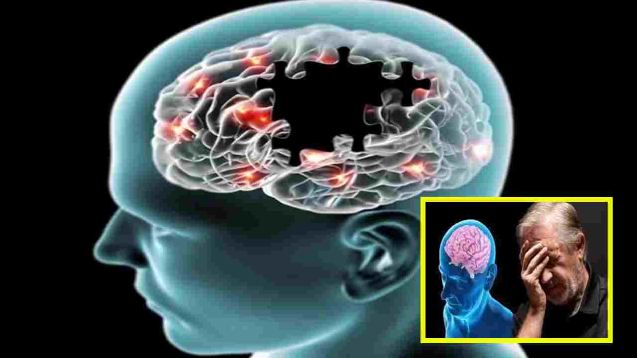 Alzheimer’s Disease : మెంథాల్ పీల్చడం అల్జీమర్స్ వ్యాధి ఉన్నవారిలో జ్ఞాపకశక్తిని మెరుగుపరచడంలో సహాయపడుతుందా?