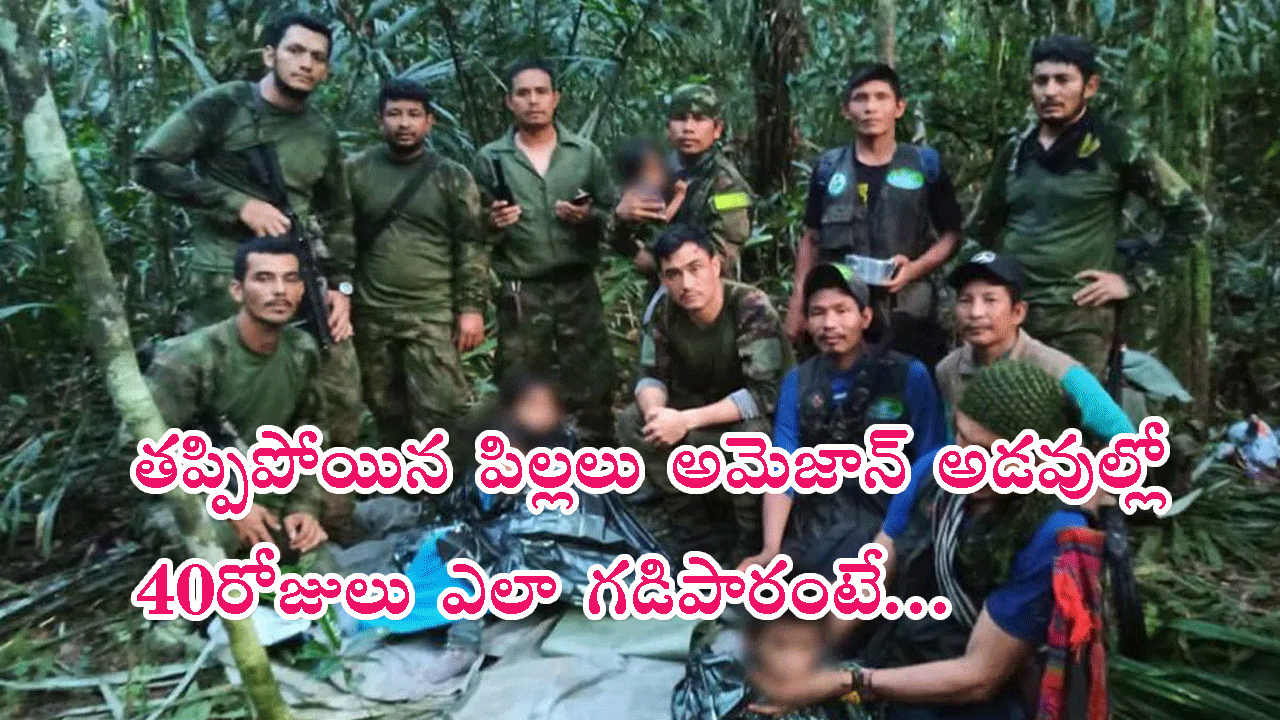 Missing Children in Amazon forest: విమాన ప్రమాదం తర్వాత అమెజాన్ అడవుల్లో తప్పిపోయిన పిల్లలు…40 రోజుల తర్వాత ఏమైందంటే..