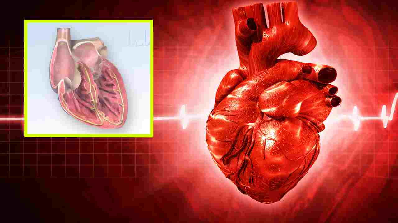 Arrhythmias : కార్డియాక్ అరిథ్మియా ప్రాణాంతకమా? అయితే ఎలా గుర్తించాలి?