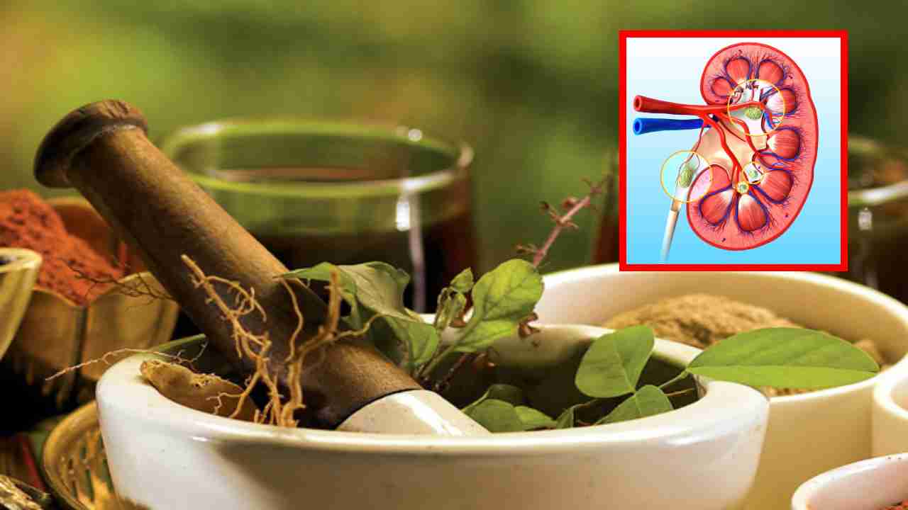 Ayurveda For kidney : మహిళల్లో మూత్రపిండాల వ్యాధికి 7 కారణాలు.. చికిత్సలో సహాయపడే ఆయుర్వేద చిట్కాలు !