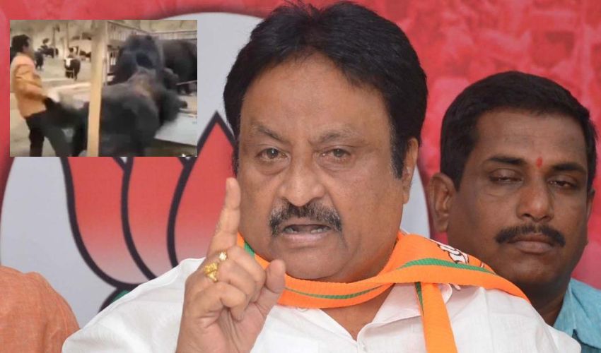Jithender Reddy : దున్నపోతు ట్రీట్‌మెంట్ అంటూ ట్వీట్ చేసిన మాజీ ఎంపీ .. బీజేపీలో పెను దుమారం