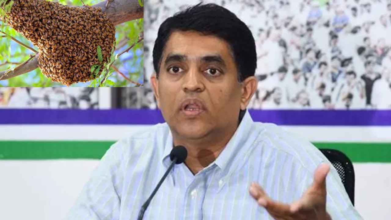 Bees Attack : తేనెటీగల దాడి.. తప్పించుకున్న ఏపీ మంత్రి, ఆరుగురి పరిస్థితి విషమం