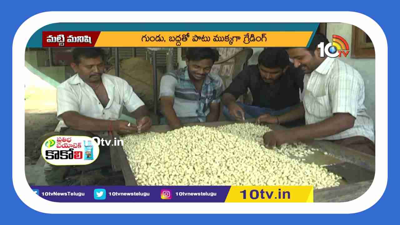 Cashew Manufacturing : కుటీర పరిశ్రమగా జీడిపప్పు తయారీ.. సంప్రదాయ పద్దతిలోనే పప్పు తయారీ చేస్తున్న వ్యాపారులు