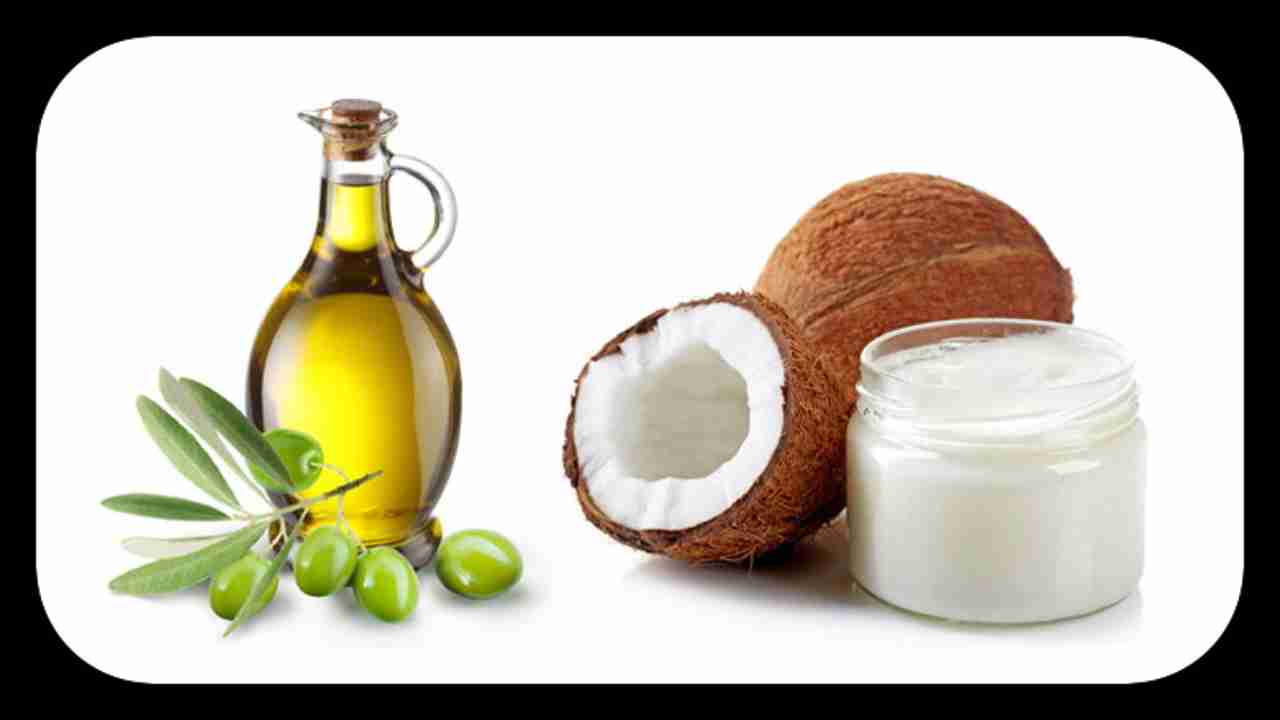 Coconut Oil Vs Olive Oil : కొబ్బరి నూనె , ఆలివ్ ఆయిల్ ఈ రెండింటిలో ఏది ఆరోగ్యకరమైనది?