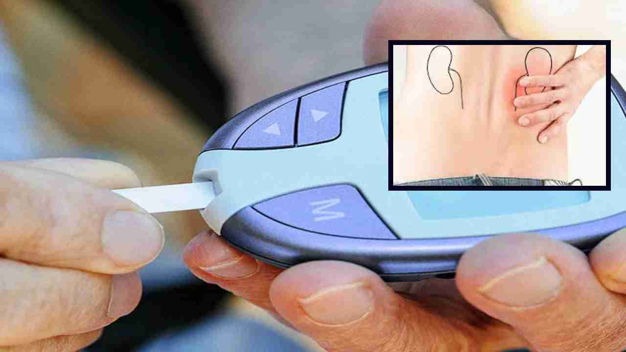 Diabetic Nephropathy : డయాబెటిస్‌ ఉన్నవారు కిడ్నీ సమస్యలను ఎదుర్కోవటం ఎలాగంటే ?