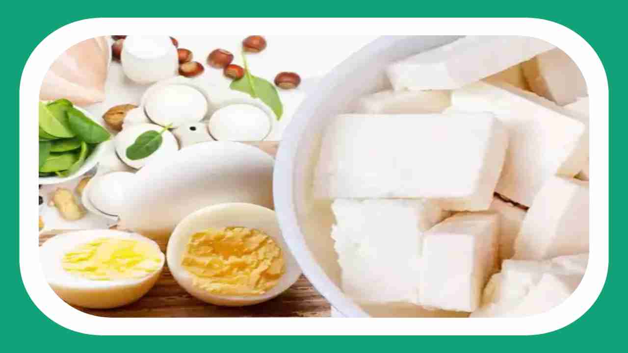 Eggs vs Paneer : గుడ్లు vs పనీర్ ఈ రెండింటిలో ప్రొటీన్‌కు మంచి మూలం ఏది?