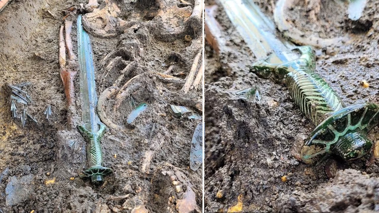 Germany Sword: జర్మనీలో మూడువేల ఏళ్లనాటి కత్తి లభ్యం.. దీని ప్రత్యేకత ఏమిటంటే ..