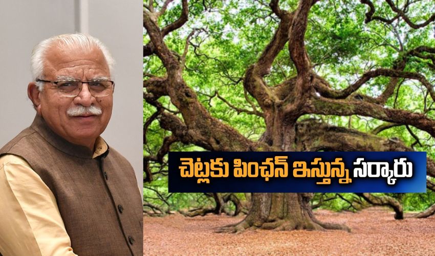 Haryana Trees Pension : చెట్లకు పెన్షన్ ప్రకటించిన హర్యానా ప్రభుత్వం .. ఎందుకో తెలుసా..?!