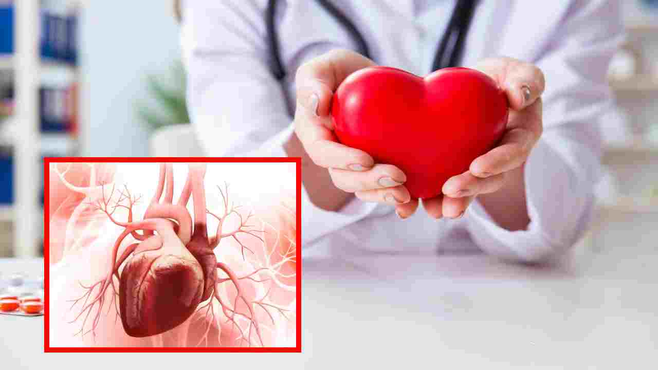 Heart Disease : యువతలో గుండె జబ్బులు పెరగడానికి 4 కారణాలు !