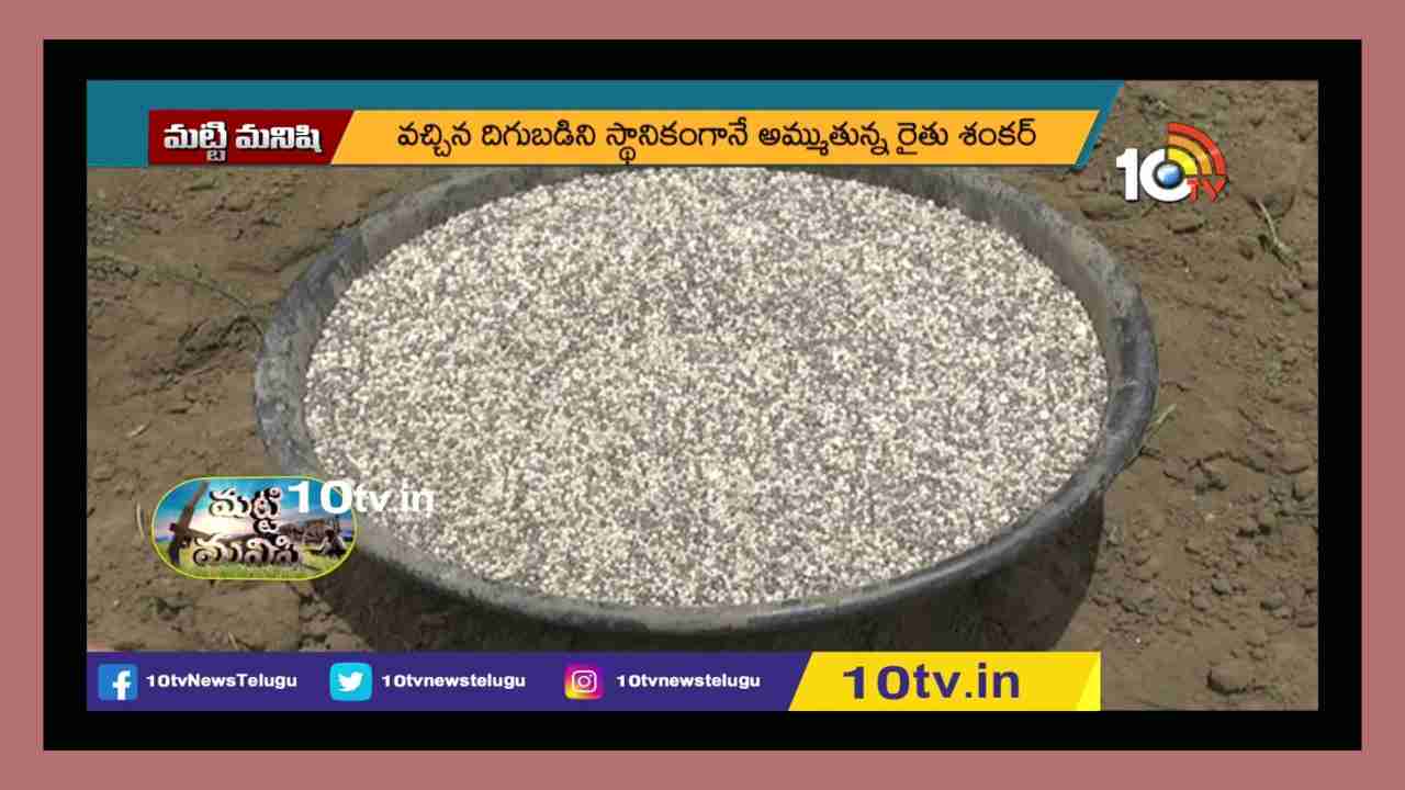 High Profit Farming : 10 ఎకరాల్లో వరితో పాటు పసుపు, కూరగాయల సాగు.. పెట్టుబడిలేని సాగుతో లాభాలు పొందుతున్న రైతు