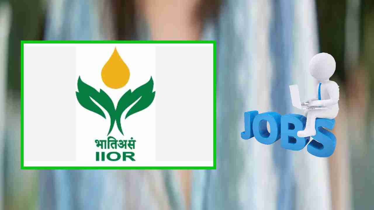 IIOR Recruitment : ఇండియన్‌ ఇన్‌స్టిట్యూట్‌ ఆఫ్‌ ఆయిల్‌ సీడ్స్‌ రిసెర్చ్‌ లో ఉద్యోగ ఖాళీల భర్తీ