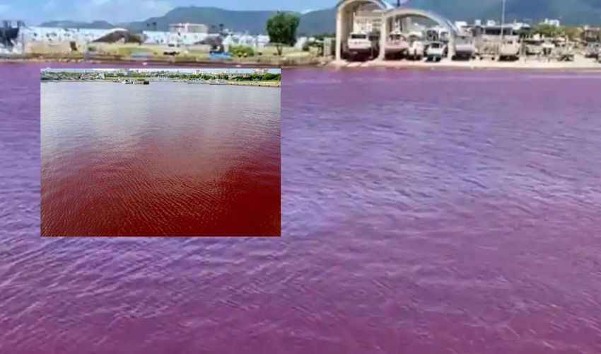 Red Color River : ఎర్రగా మారిపోయిన నది .. క్షమాపణ చెప్పిన బీరు కంపెనీ