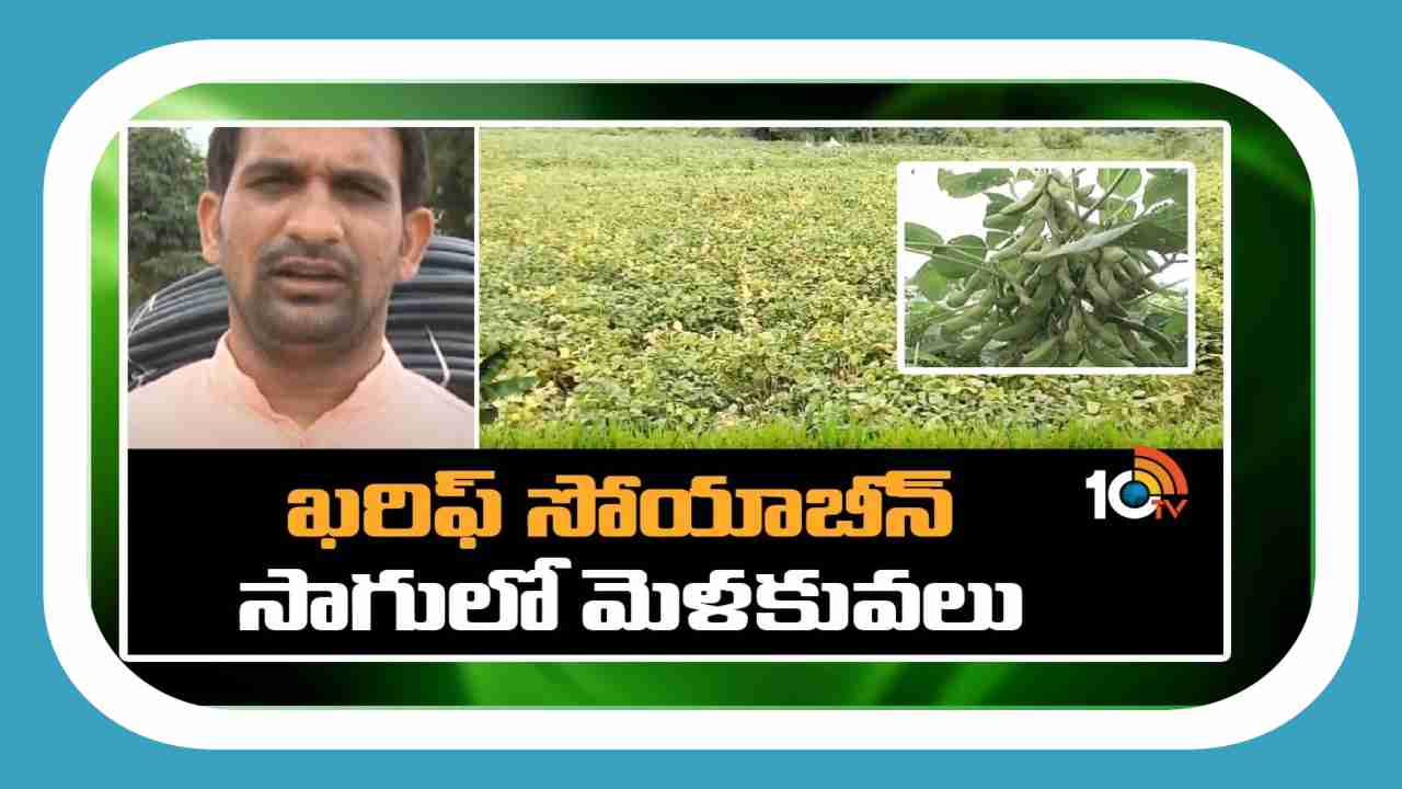 Kharif Soya Cultivation : ఖరీఫ్ లో వర్షాధారంగా సోయాచిక్కుడు సాగు.. విత్తన ఎంపికలో రైతులు తీసుకోవాల్సిన మెళకువలు