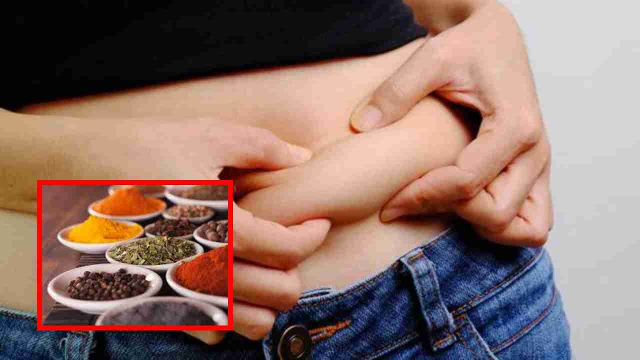 Burn Belly Fat Naturally : బెల్లీ ఫ్యాట్‌ను వేగంగా కరిగించే మూలికలు ఇవే ?