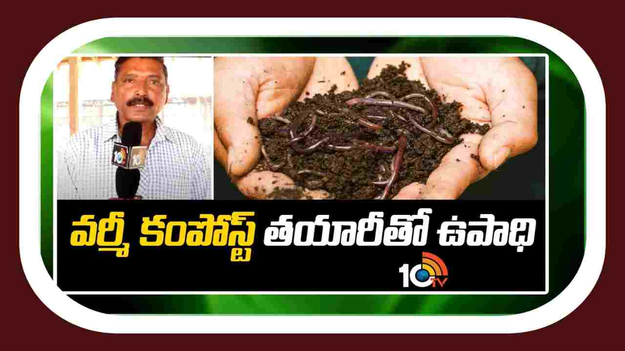 Making Vermicompost : పంటల పాలిట కల్పతరువుగా సేంద్రియ ఎరువులు.. వర్మీకంపోస్ట్ తయారితో స్వయం ఉపాధి