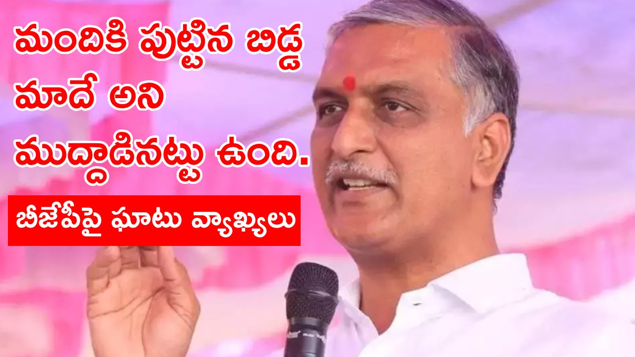 Minister Harish Rao: ఢిల్లీలో అవార్డులిస్తారు.. గల్లీలో తిడుతారు.. ప్రజలు ఆలోచించి పనిచేసే వారిని ఆశీర్వదించాలి