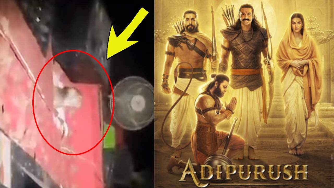 Adipurush : ఆదిపురుష్ చూసేందుకు వచ్చిన కోతి.. వీడియో వైరల్!