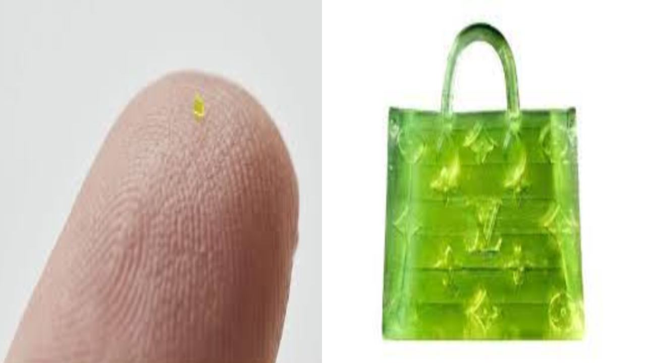 Designer Bag  : అతి చిన్న డిజైనర్ బ్యాగ్.. వేలంలో దాని ధర రూ.51 లక్షలు